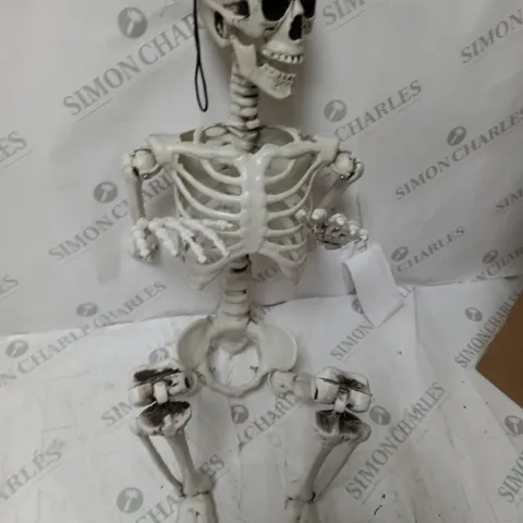 BOXED SKELETON HALLOWEEN DECORATION