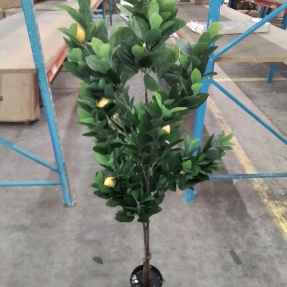BOXED 150CM ARTIFICIAL LEMON TREE