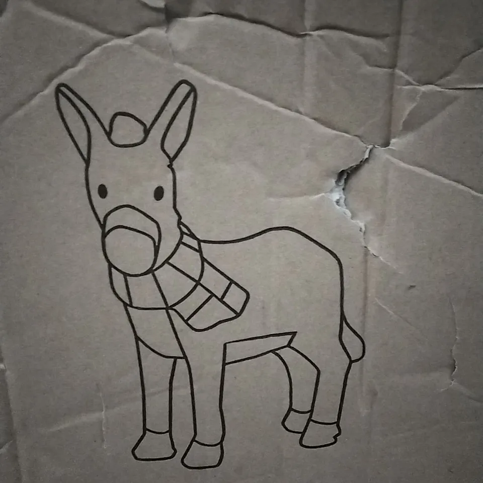 NEO BOXED ACRYLIC DONKEY