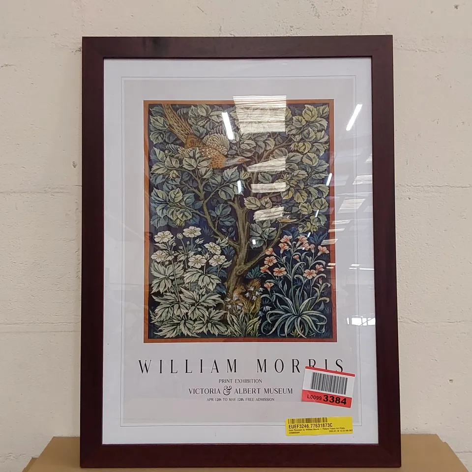FRAMED ART - COCK PHEASANT BY WILLIAM MORRIS (1 ITEM)
