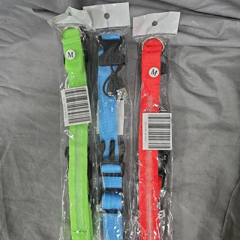 APPROXIMATELY 25 ASSORTED NEON COLOURED DOG COLLARS IN VARIOUS SIZES