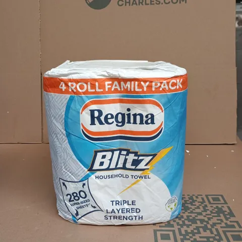 REGINA BLITZ HOUSEHOLD TOWEL FAMILY PACK