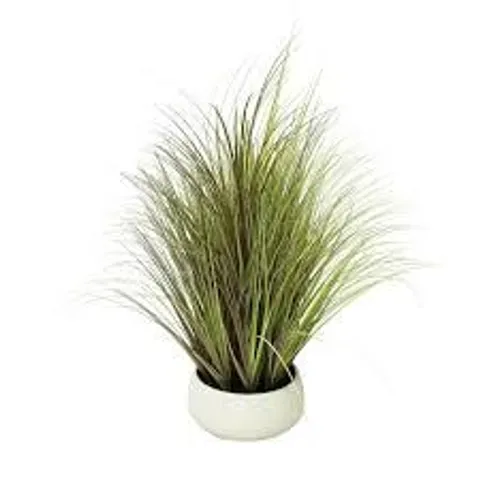 K BY KELLY HOPPEN INDOOR OUTDOOR PRE-LIT LOMANDRA GRASS W/CEMENT POT
