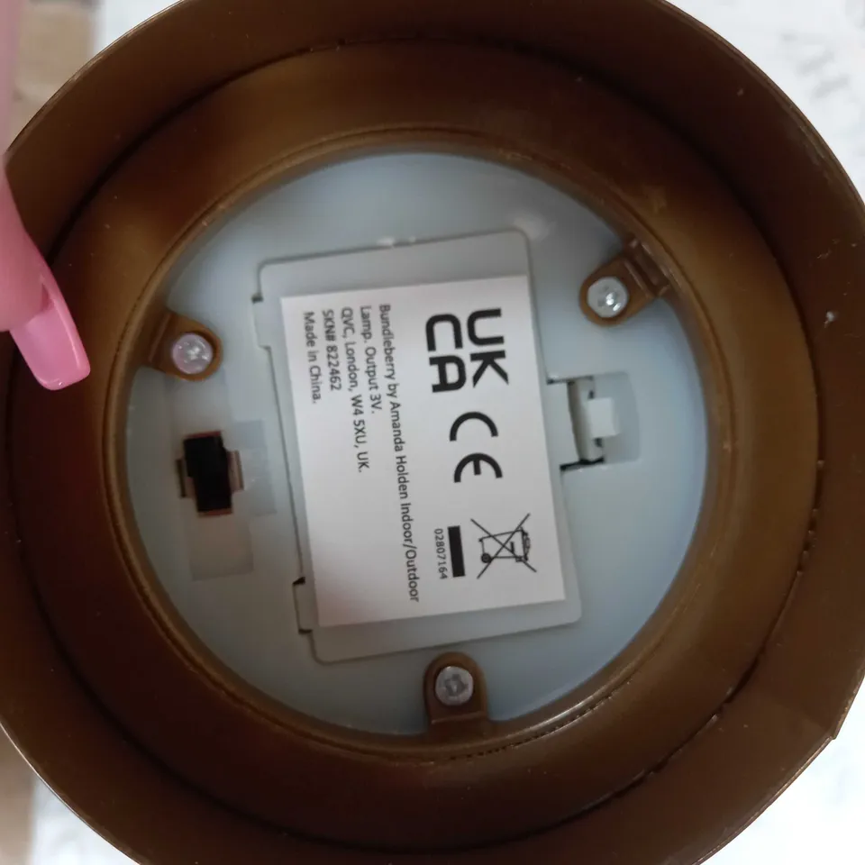 BUNDLEBERRY BY AMANDA HOLDEN INDOOR/OUTDOOR LIGHT