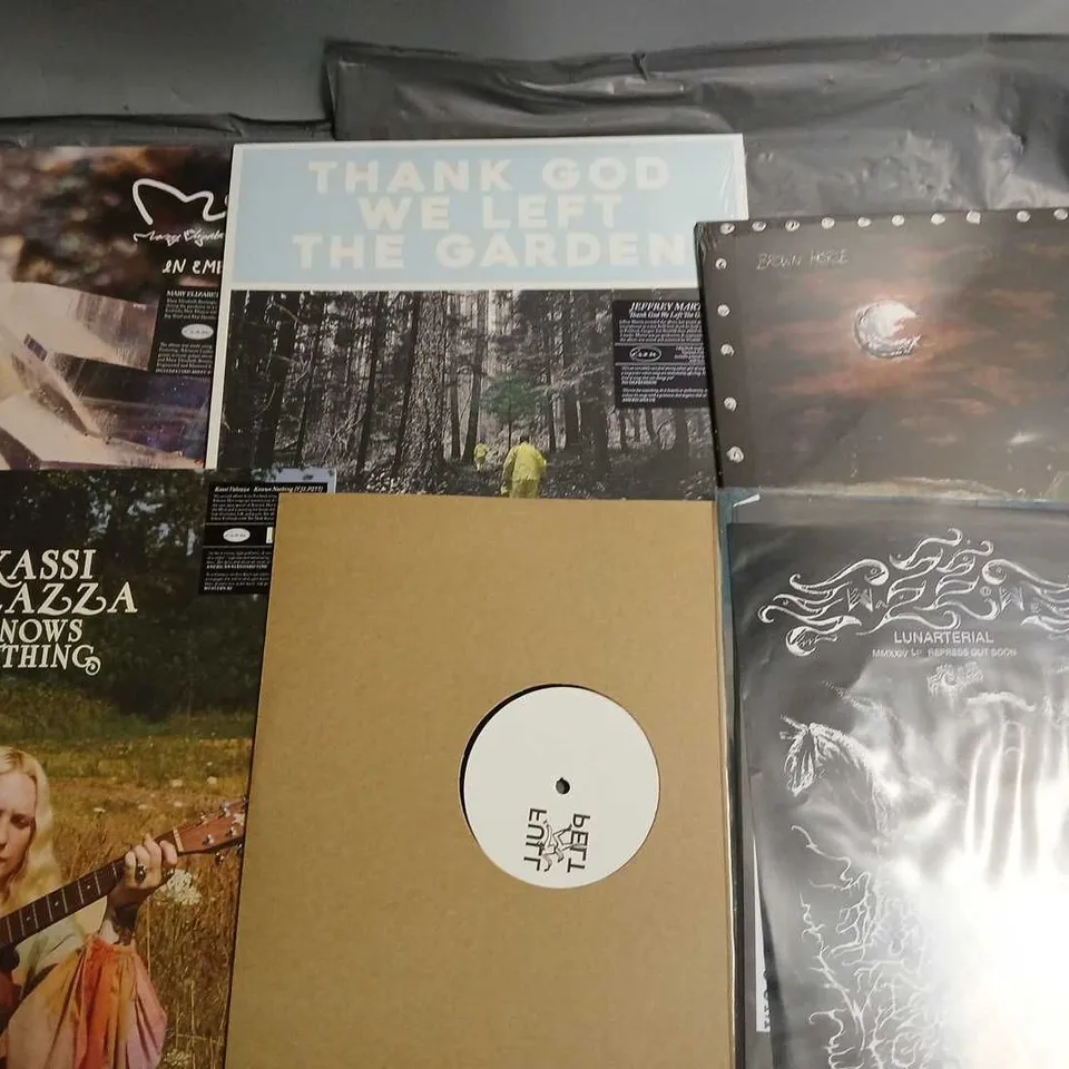 LOT OF 12 ASSORTED VINYL TO INCLUDE GUTLESS, BROWN HORSE RESEVOIR AND DOSE OF AURAL TERROR