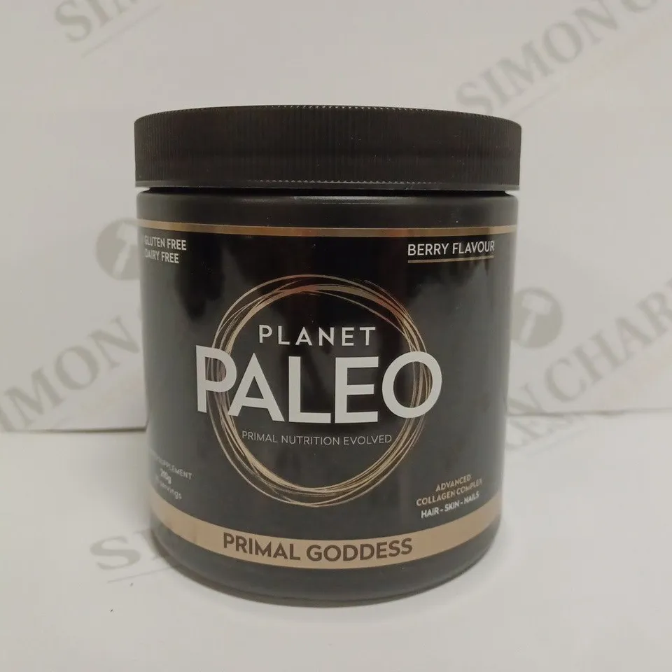 PLANET PALEO GLUTEN AND DAIRY FREE FOOD SUPPLEMENT - BERRY FLAVOUR 210G