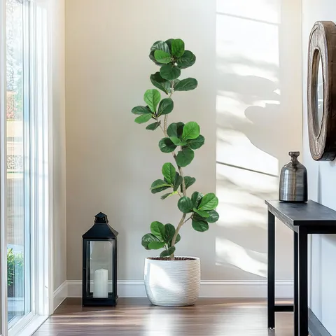 BOXED GARVEE 1.8 M (6 FT) ARTIFICIAL FIDDLE LEAF FIG TREE