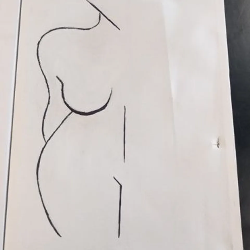 THREE ASSORTED ABSTRACT WOMEN NUDE NAKED LADY BODY LINE DRAWING ART CANVAS