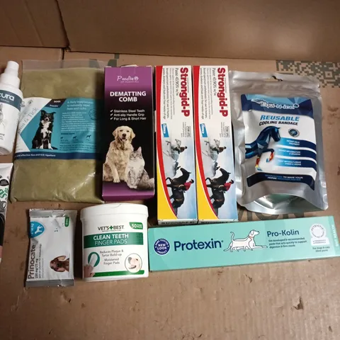 LOT OF APPROXIMATELY 25 ASSORTED PET CARE ITEMS TO INCLUDE CLEAN TEETH PADS, ENZYMATIC TOOTHPASTE AND ANTINOL JOINT CARE PRO
