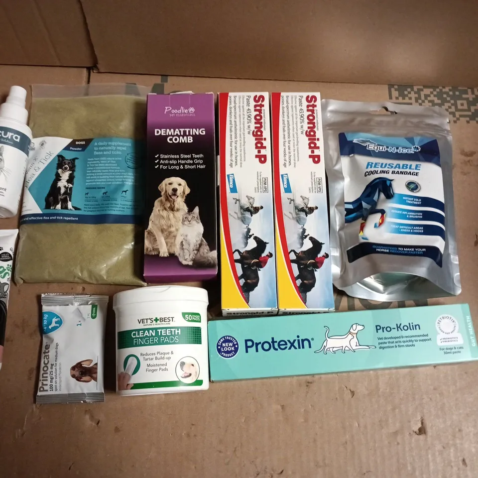 LOT OF APPROXIMATELY 25 ASSORTED PET CARE ITEMS TO INCLUDE CLEAN TEETH PADS, ENZYMATIC TOOTHPASTE AND ANTINOL JOINT CARE PRO