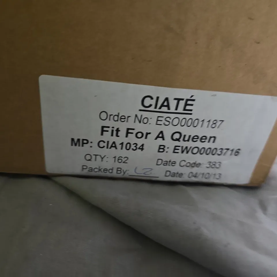 CIATÈ PAINT POTS NAIL POLISH – FIT FOR A QUEEN (PP069) – 0.46 FL OZ / 13.5 ML, BULK BOTTLE PACK