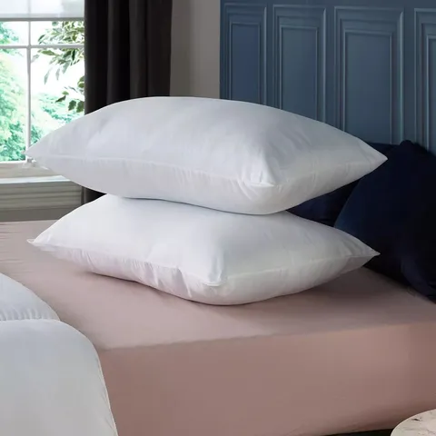 ANTI-ALLERGY PILLOW PAIR - WHITE