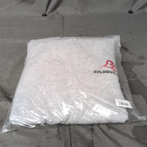 XPLOSIVE APE HEATHER GREY HOODIE – ORIGINAL LOGO V2 STRING HOODIE LARGE