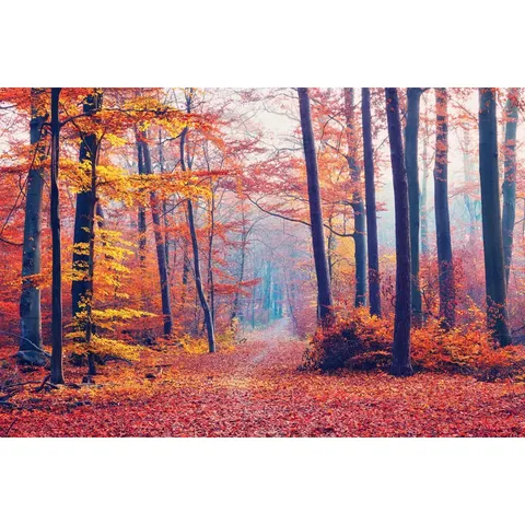 BOXED ENGLAND-FOGGY PATH BY MR.ABBAS - WRAPPED CANVAS PRINT