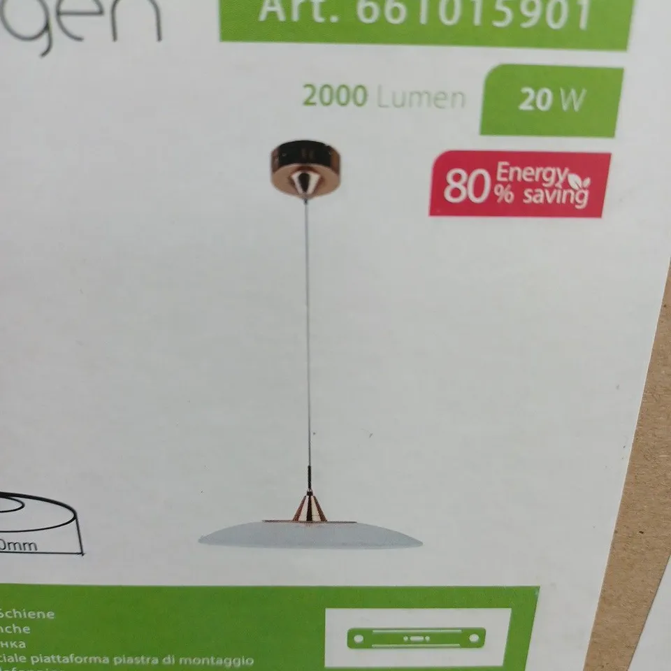 BOXED REGENBOGEN 1-LIGHT LED INVERTED PENDANT COPPER FIXTURE 