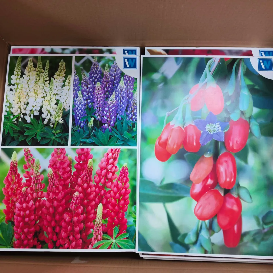 APPROXIMATELY 70 IDEAL WORLD BRANDED FLORAL PRINTS - COLLECTION ONLY