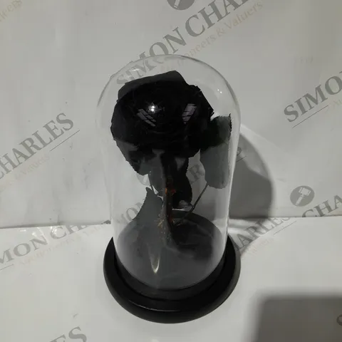 BOXED UNBRANDED GLASS DOME WITH WOODEN BASE