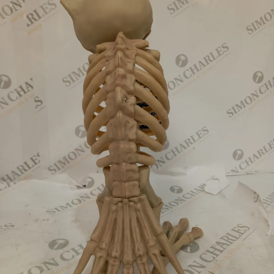 SKELETON ANIMAL AND 4 X VAMPIRE KITS 