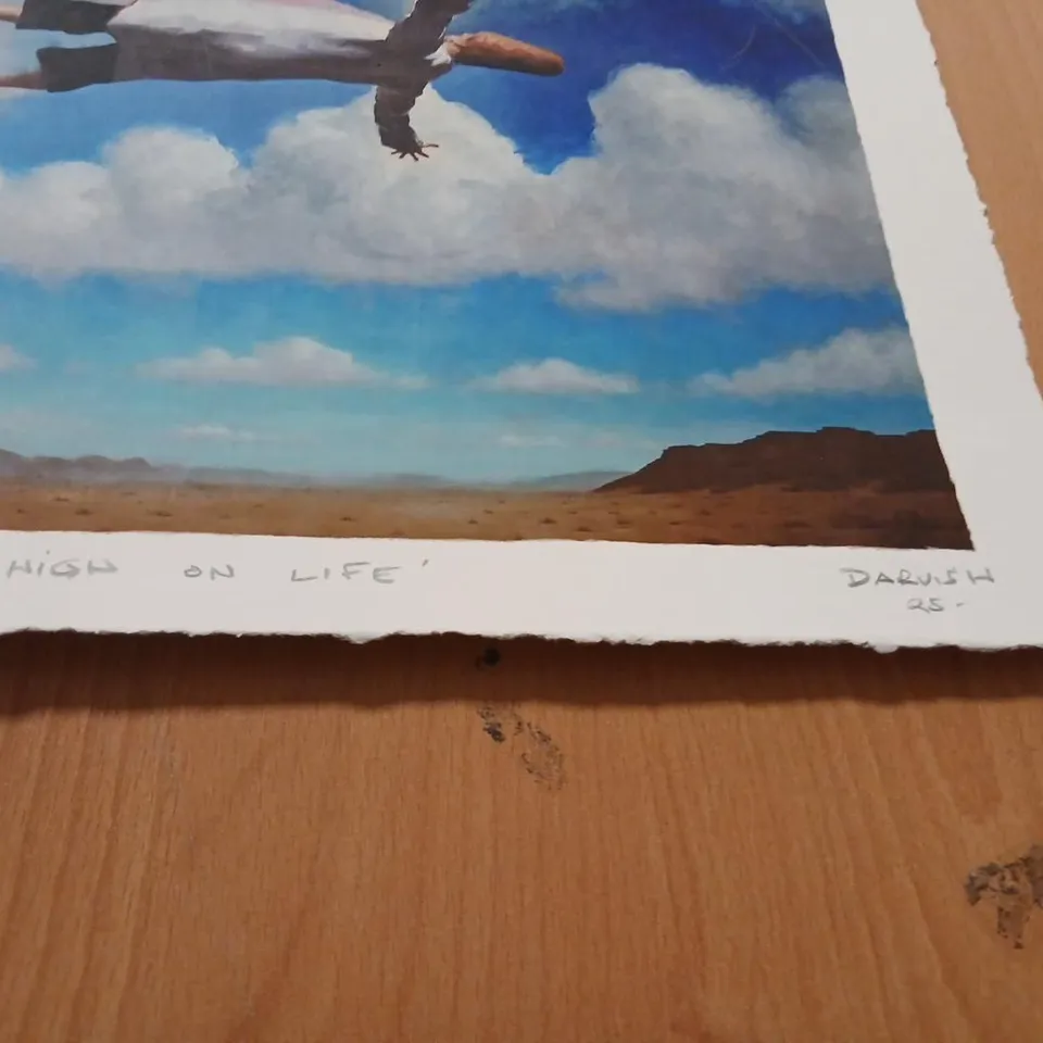 DARVISH 'HIGH ON LIFE' SIGNED PRINT 36 X 26CM