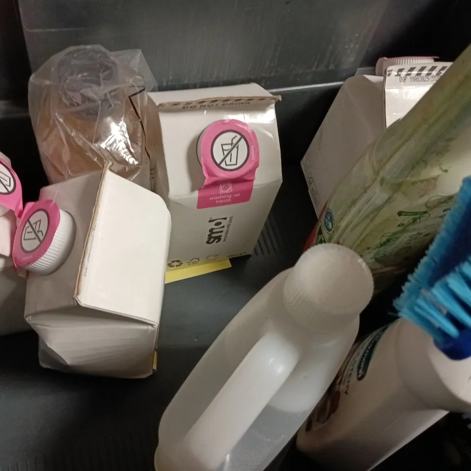 APPROXIMATELY 10 ASSORTED HOUSEHOLD ITEMS TO INCLUDE MOLD & MILDEW REMOVER, CARPET STAIN REMOVER, ETC