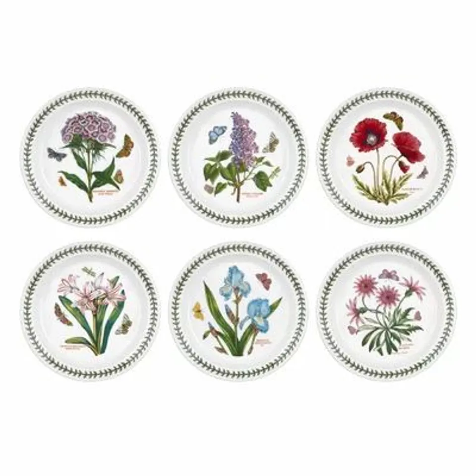 BOXED BOTANIC GARDEN APPROXIMATELY 6 PIECE PLATES SET (1 BOX)