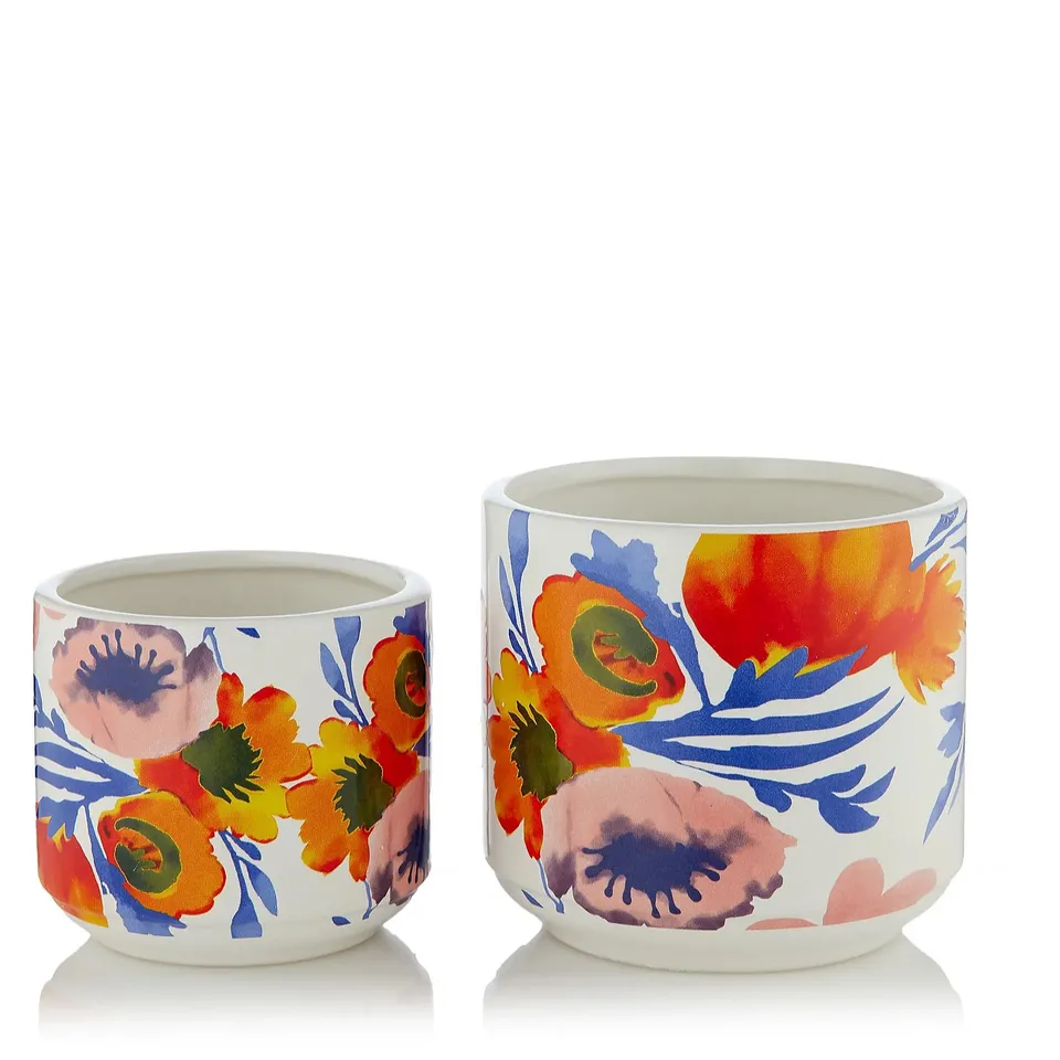 GARDEN REFLECTIONS 2 X OUTDOOR CERAMIC FLORAL DESIGN PLANT POTS