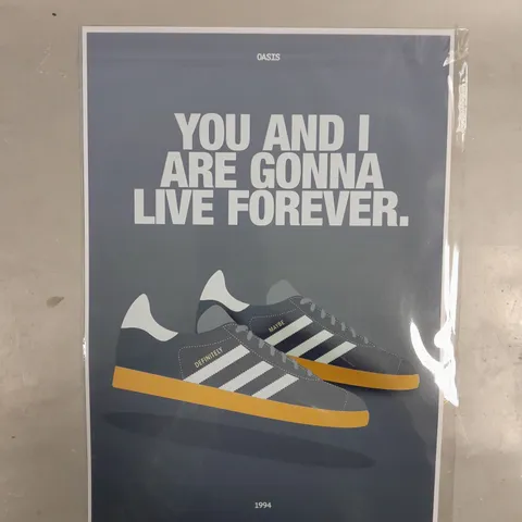 DEFINITELY MAYBE OASIS INSPIRED ADIDAS GAZELLE PRINT PITCH AND PAPER
