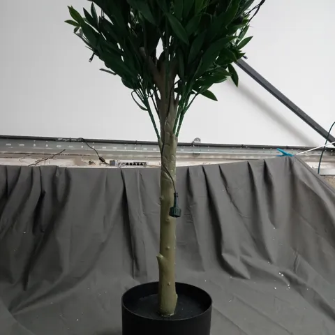 BOXED MY GARDEN STORIES BUSHY LED OLIVE TREE