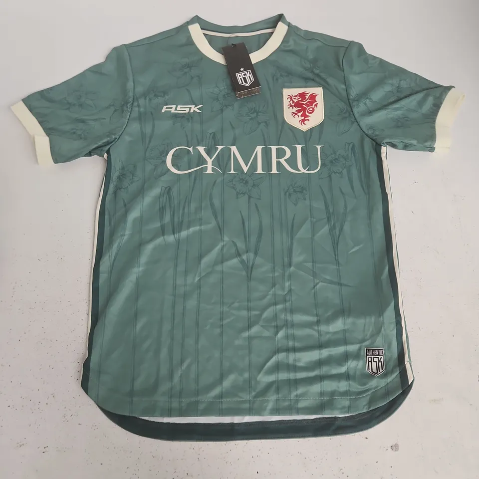 ASK CYMRU FOOTBALL SHIRT IN SOFT GREEN - XS