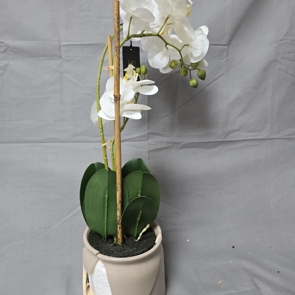 OTTERS BROOK 56CM 3 STEM REAL TOUCH WHITE ORCHID IN POT
