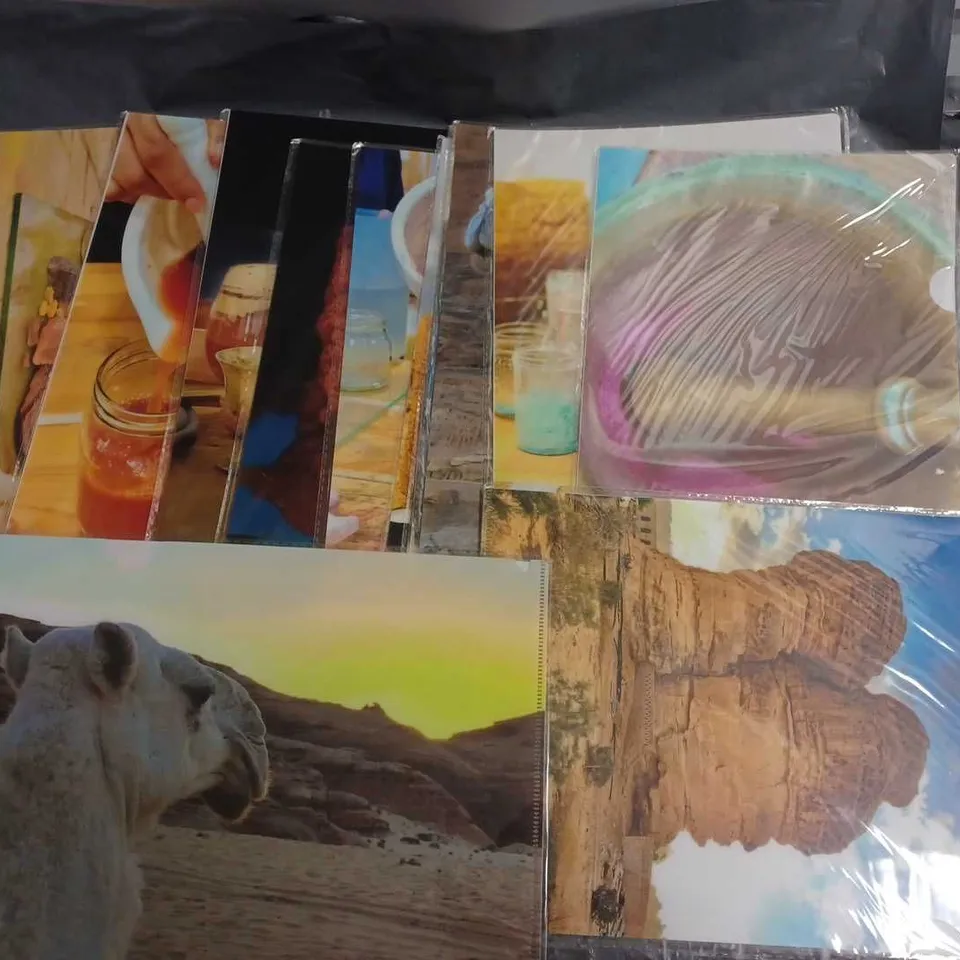 LOT OF 25 A4 PICTURES DEPICTING CAMELS AND LANDSCAPES