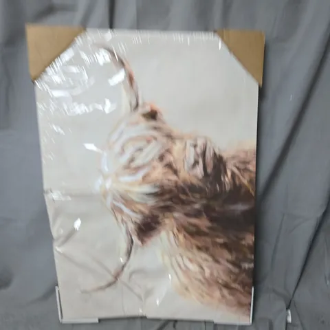 PRINTED HIGHLAND COW CANVAS - COLLECTION ONLY