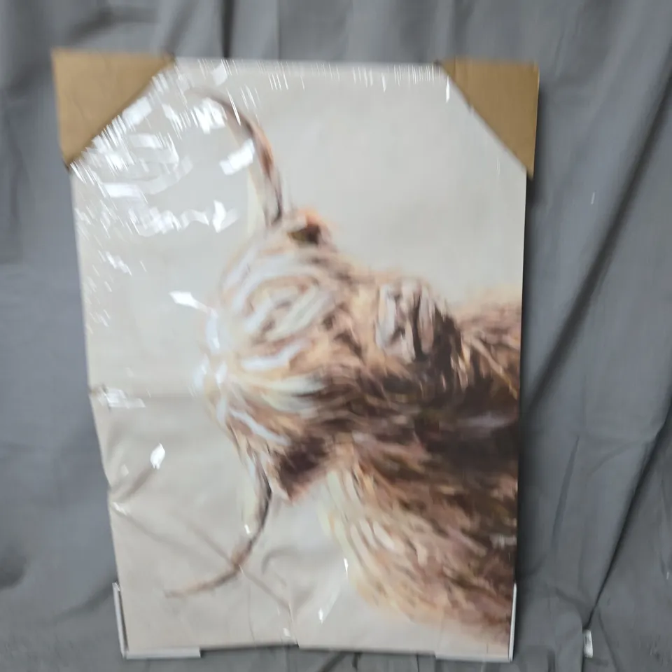 PRINTED HIGHLAND COW CANVAS - COLLECTION ONLY