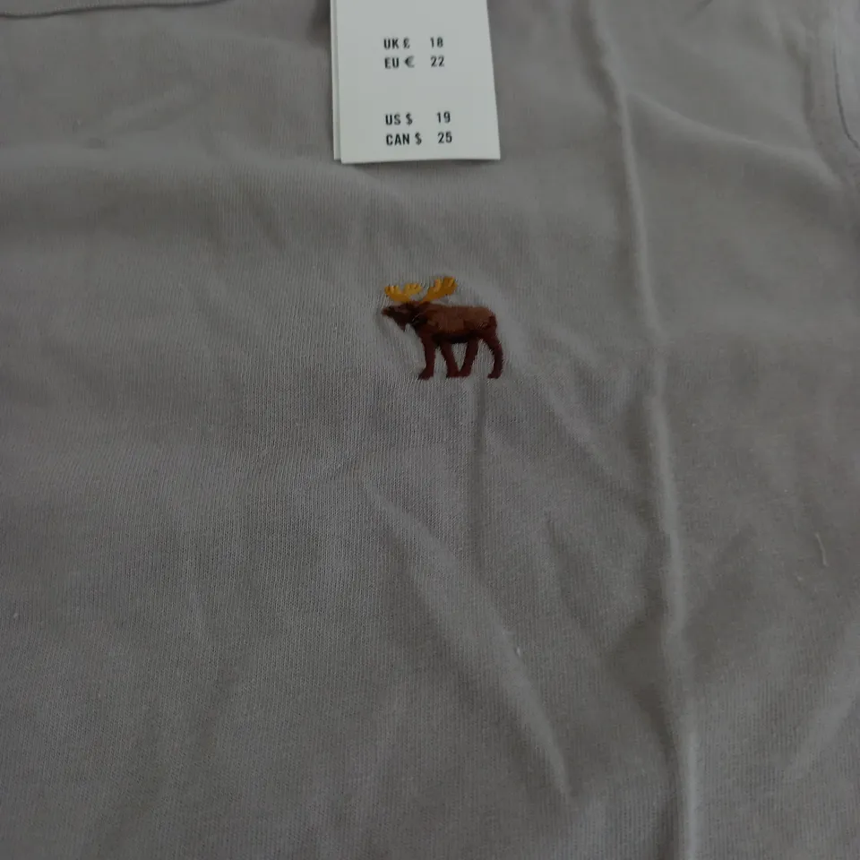 ABERCROMBIE & FITCH EMBROIDED T-SHIRT IN STONE - SMALL
