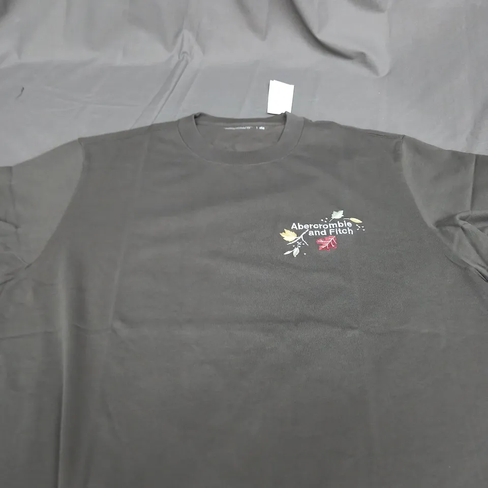 ABERCROMBIE AND FITCH GRAPHIC T-SHIRT SIZE L