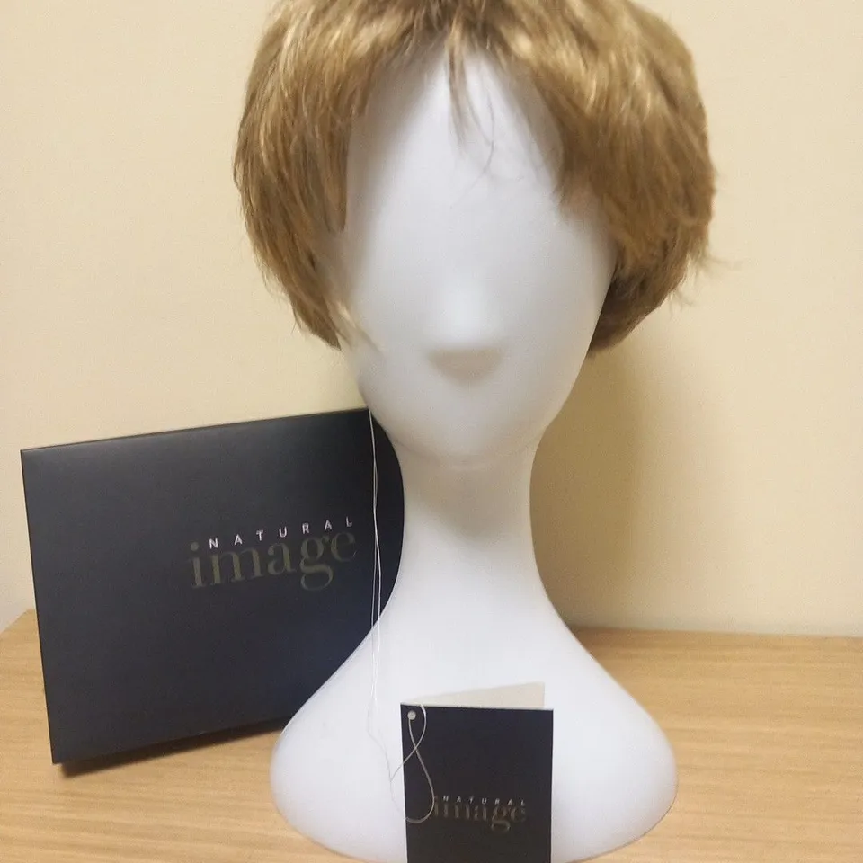 BOXED NATURAL IMAGE ABSOLUTELY ALMOND MIST WIG