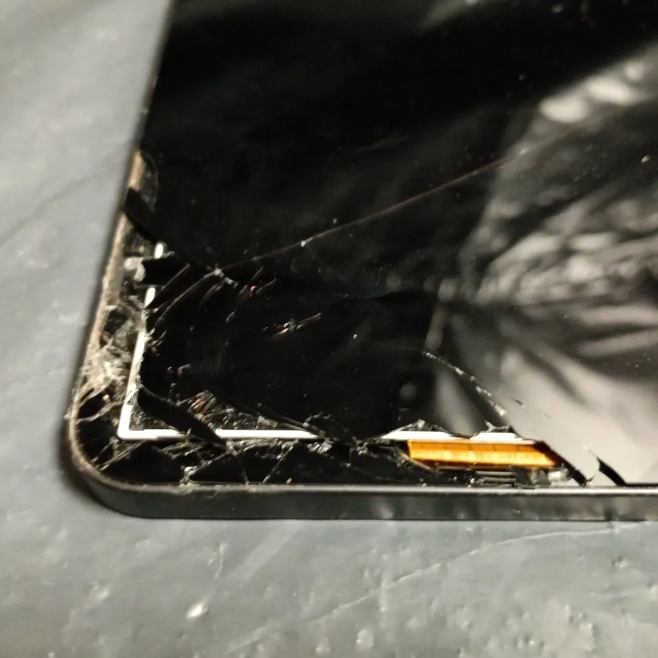 SAMSUNG GALAXY TAB S8