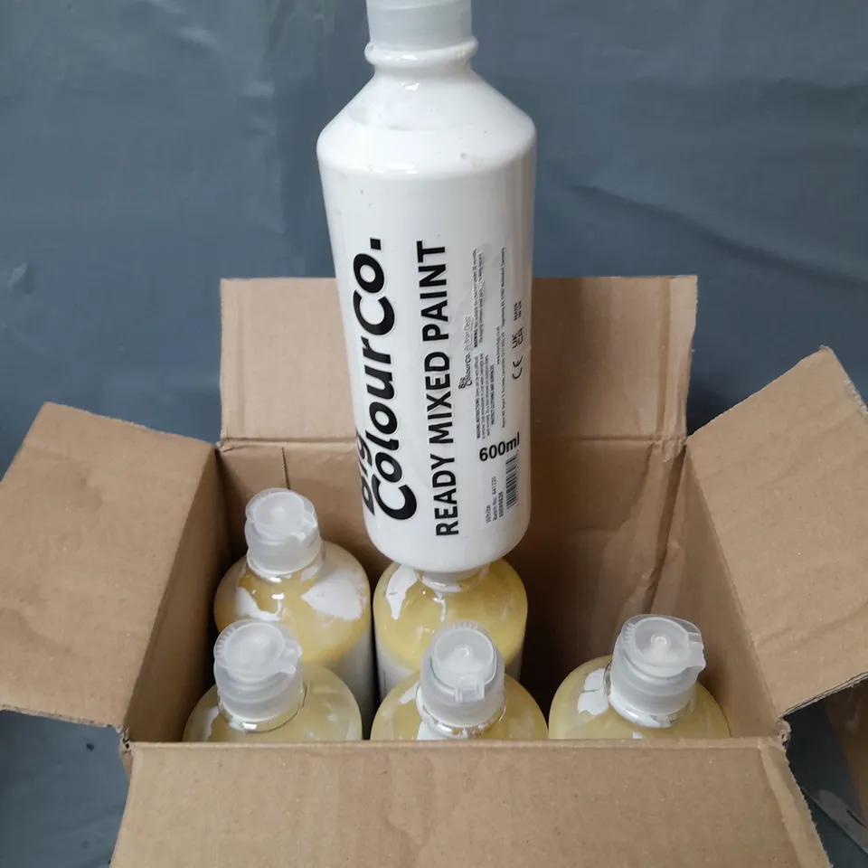 LOT OF 6 BOTTLES OF READY MIXED PAINT - WHITE - 600ML PER BOTTLE