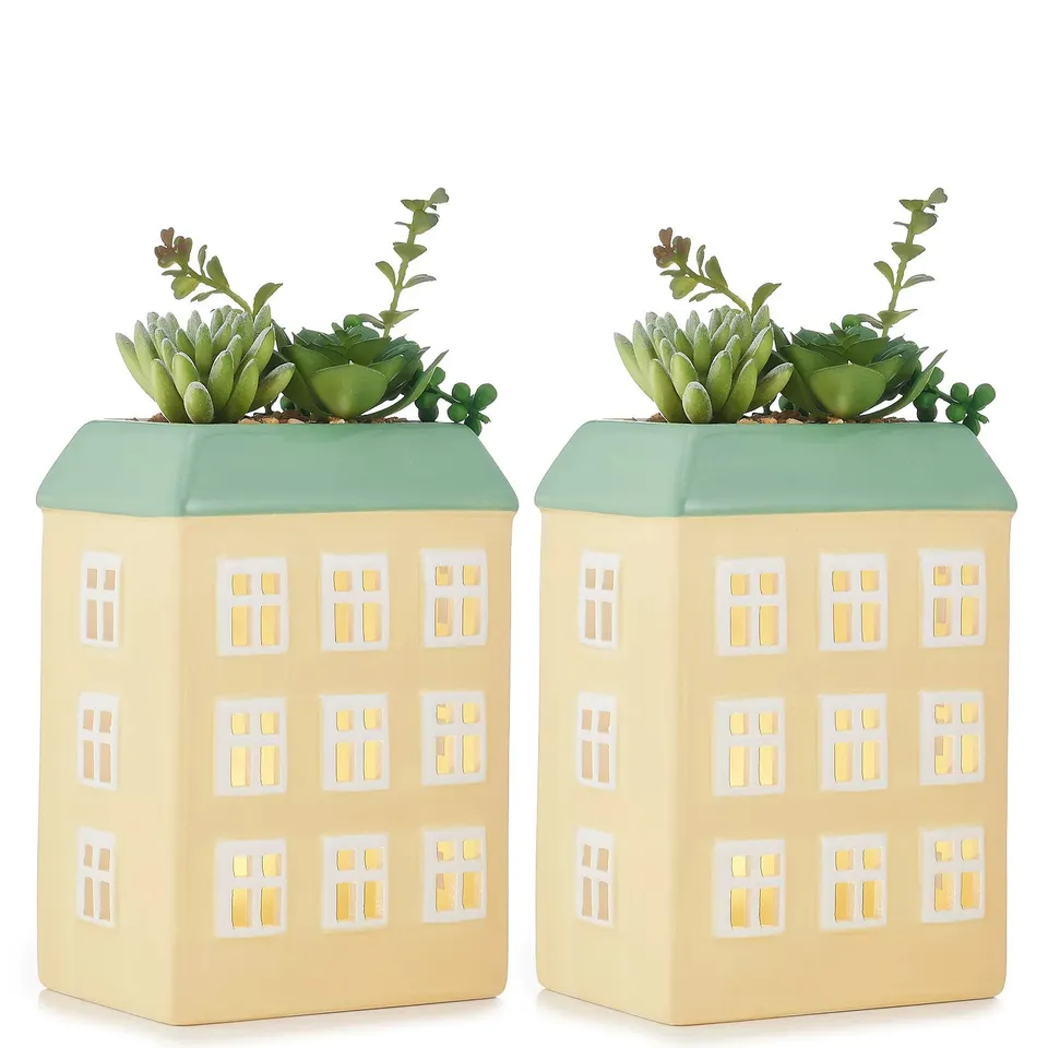 HOME REFLECTIONS SET OF 2 PRE-LIT LED CERAMIC HOUSE SUCCULENTS
