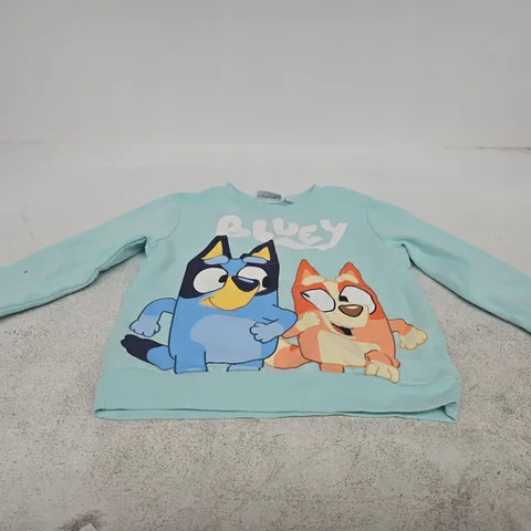 BLUEY CHILDRENS JUMPER AGE 5-6 YEARS