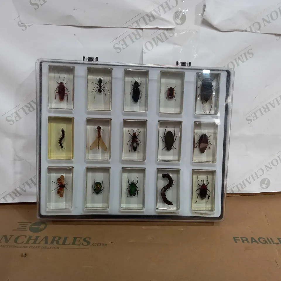 CASE OF APPROXIMATELY 15 ASSOSRTED RESIN ENCASED INSECTS 