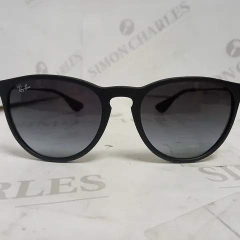 RAY-BAN STYLE ERIKA SUNGLASSES