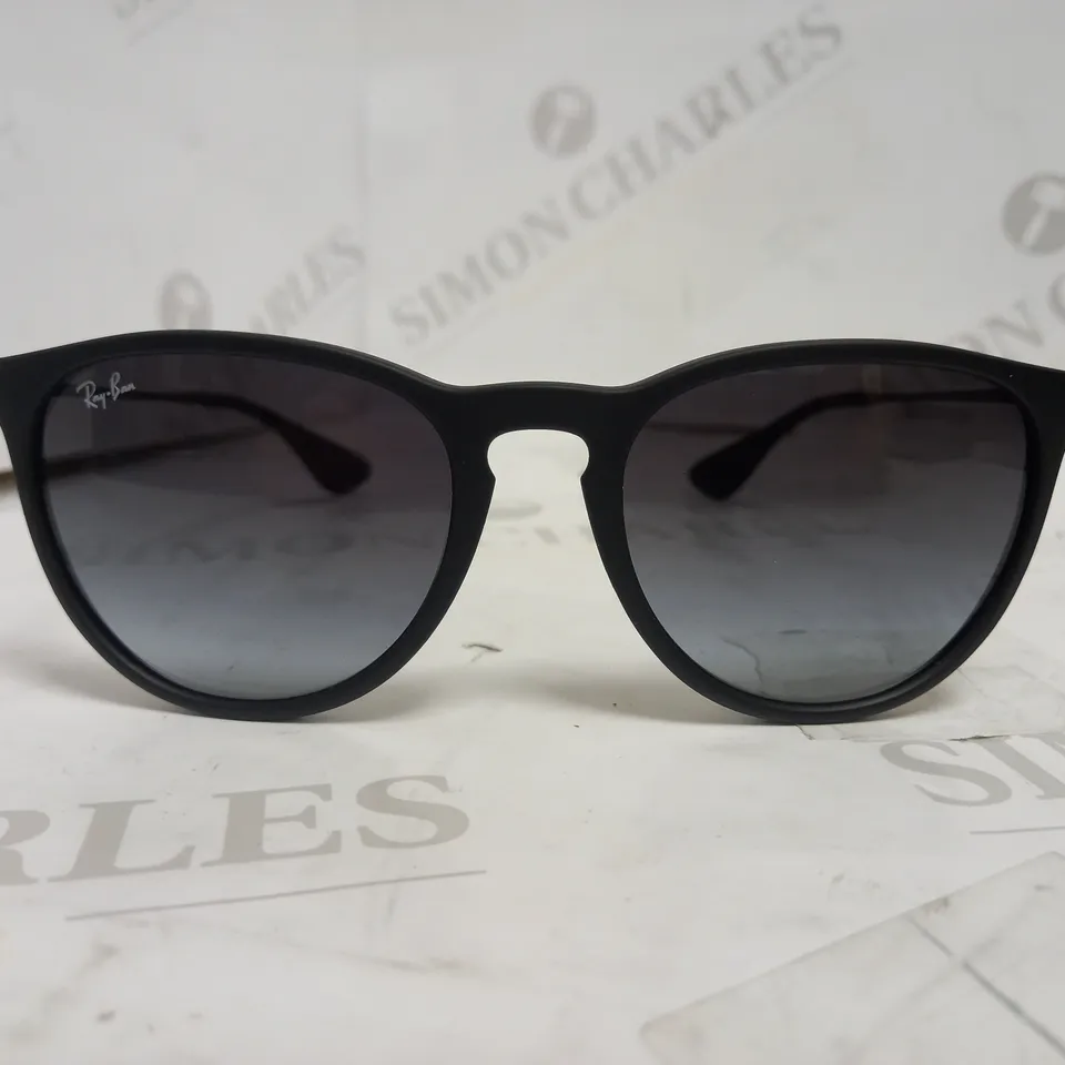 RAY-BAN STYLE ERIKA SUNGLASSES