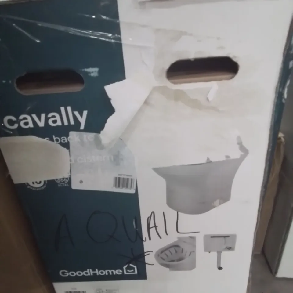 BOXED CAVALLY RIMLESS BACK TO WALL TOILET WITH CONCEALED CISTERN