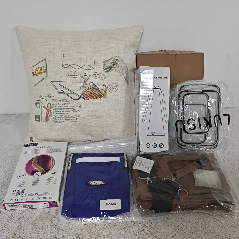 LOT OF APPROXIMATELY 15 ASSORTED HOUSEHOLD ITEMS TO INCLUDE FILLED CUSHIONS, COMPRESSION BAND AND FLY REPELLER