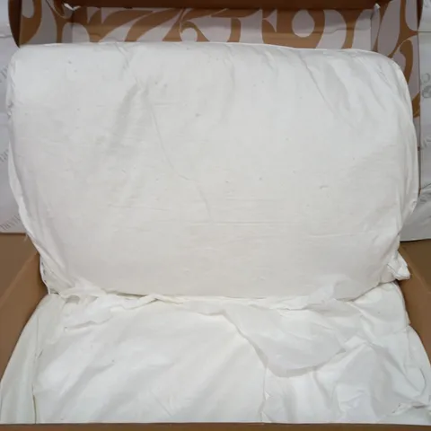 NORTHERN NIGHTS SET OF PUR FEATHER PILLOWS