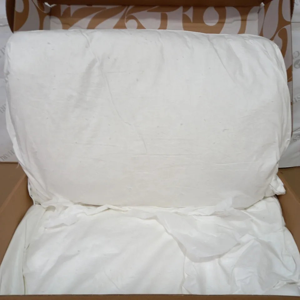 NORTHERN NIGHTS SET OF PUR FEATHER PILLOWS