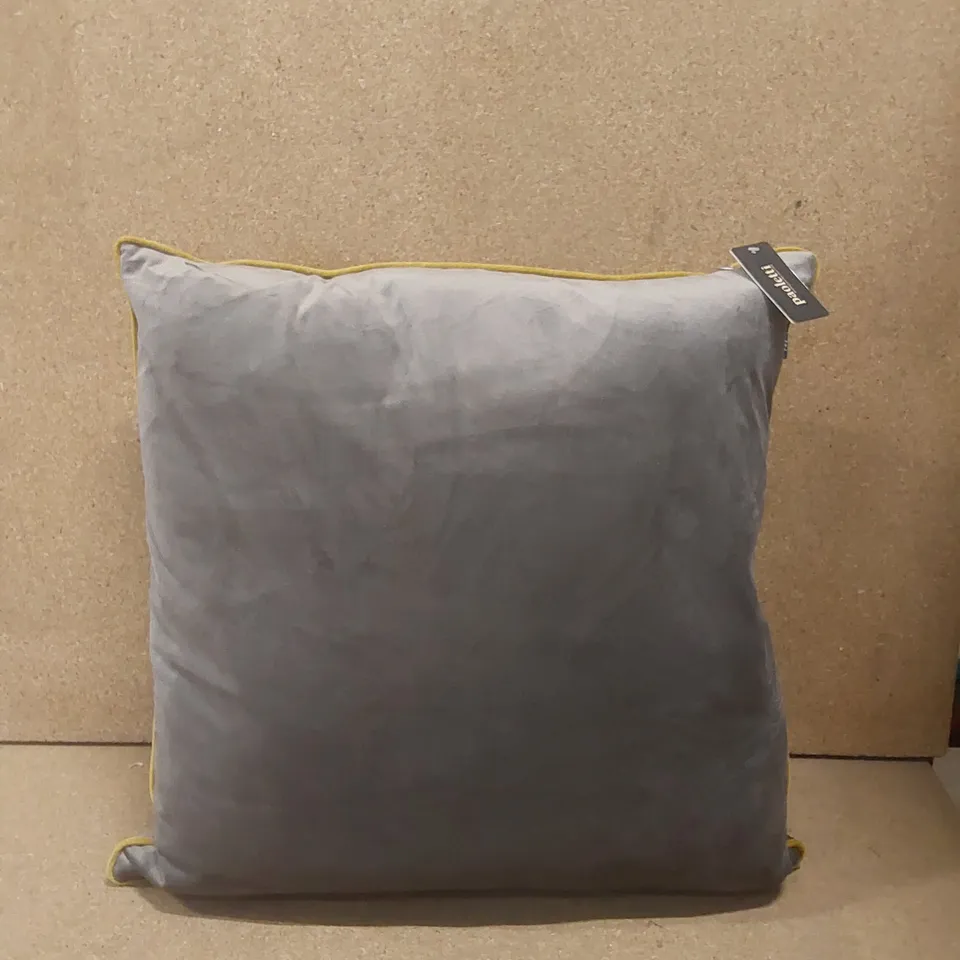 SET OF 2 PAOLETTI CUSHIONS WITH FILLING 