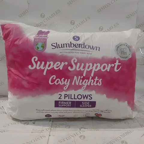 BAGGED SLUMBERDOWN 2 SUPER SUPPORT PILLOWS 
