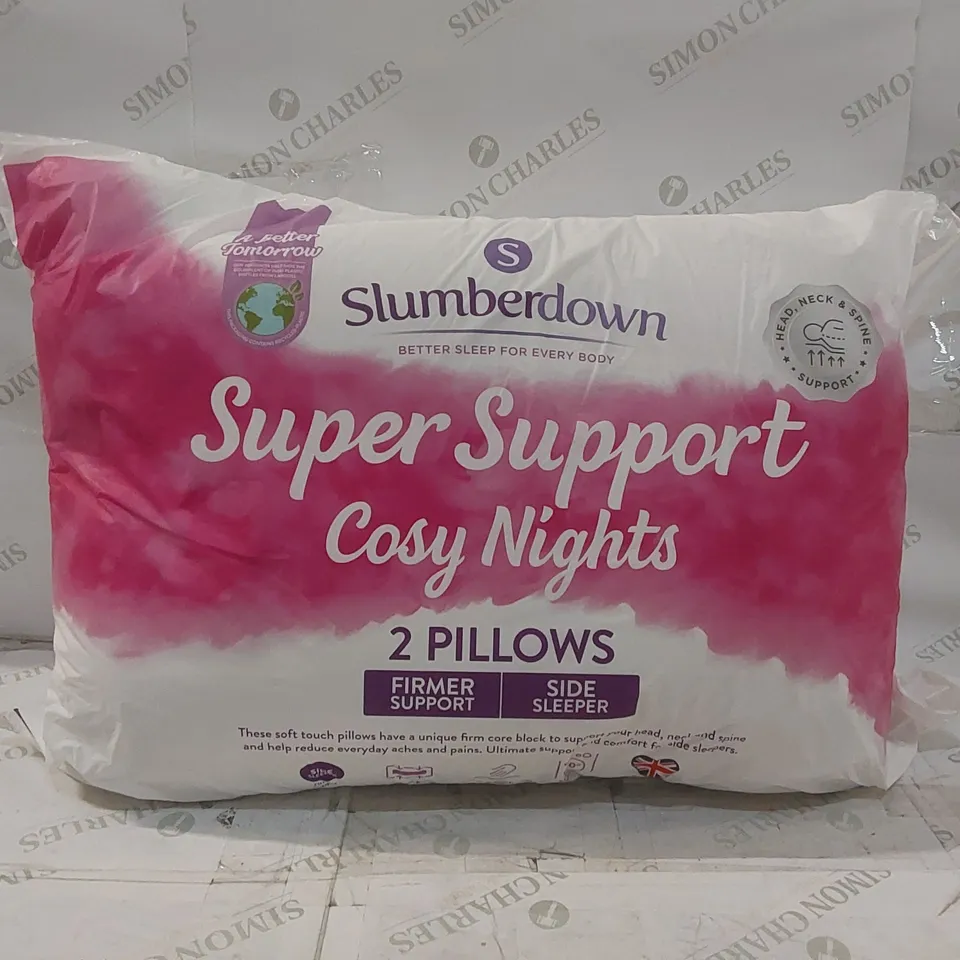 BAGGED SLUMBERDOWN 2 SUPER SUPPORT PILLOWS 